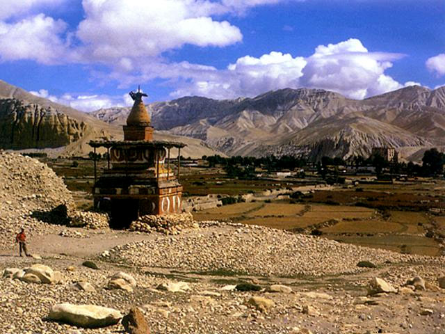 Mustang Trek